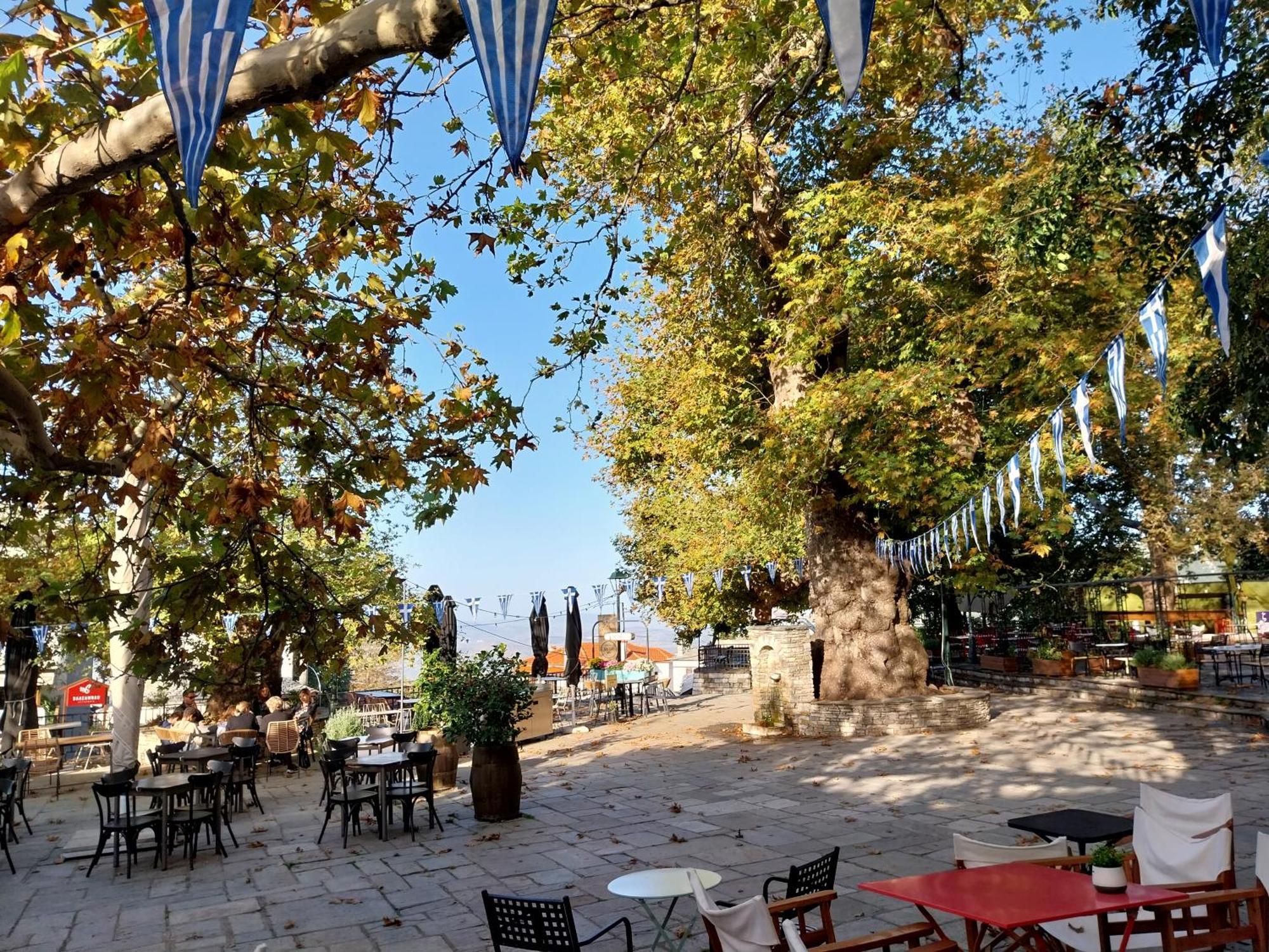 Marousos Central Guesthouse Portaria  Exterior photo