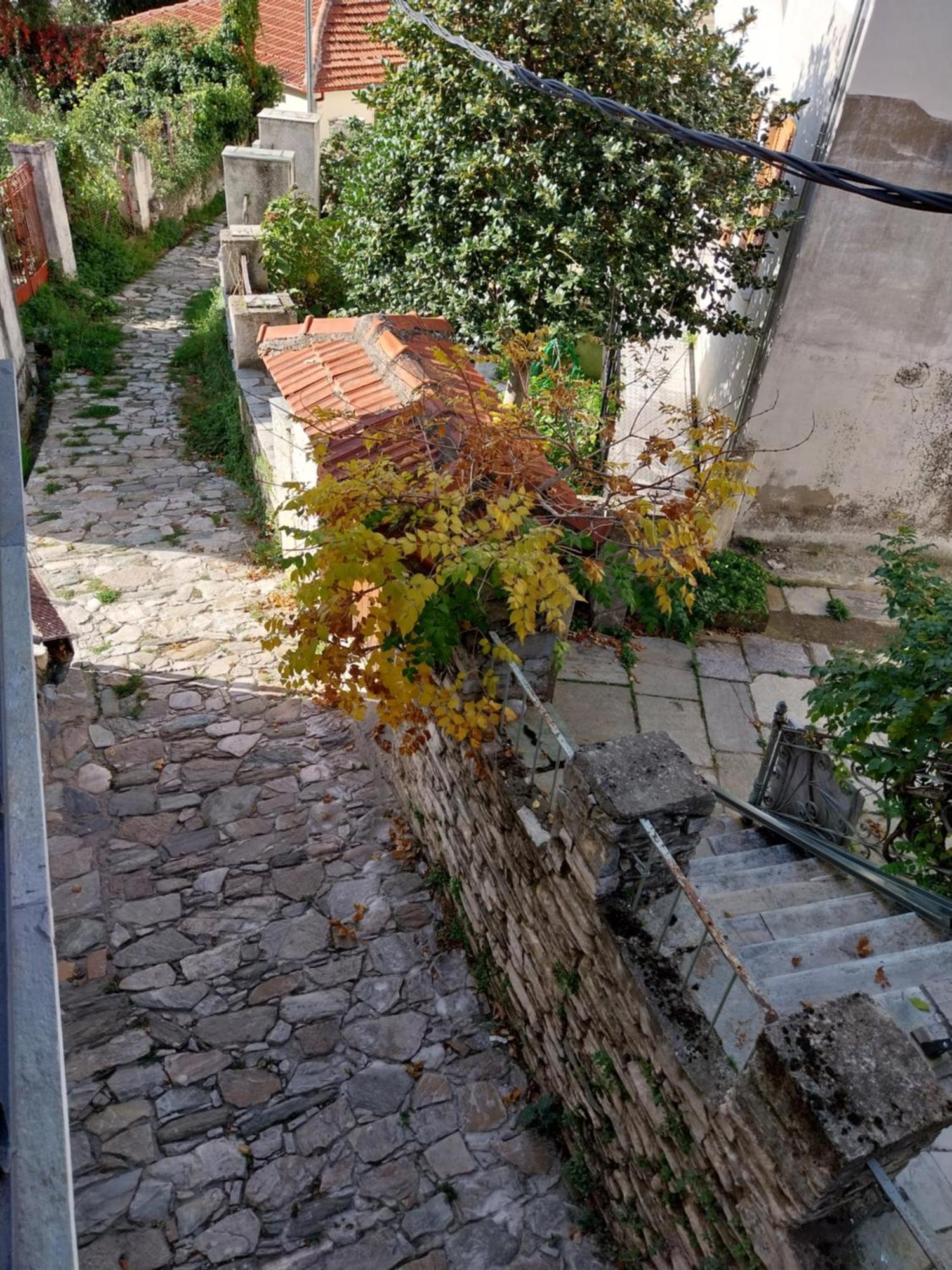 Marousos Central Guesthouse Portaria  Exterior photo